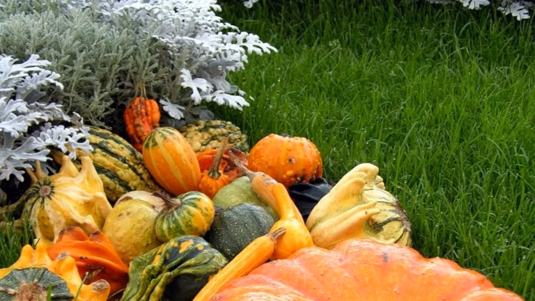 L&rsquo;automne autour du globe : 6 escapades entre délices culinaires, coutumes locales et paysages aux teintes dorées