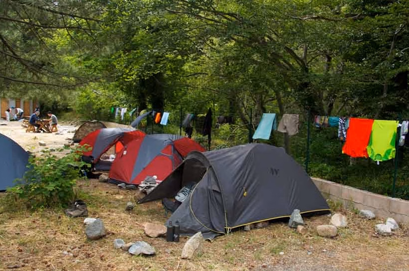 Camping à Jersey : hébergements et sites recommandés