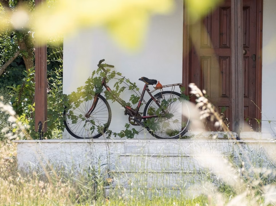 Pascaline Pouillet : une épopée à vélo menée avec une détermination sans faille